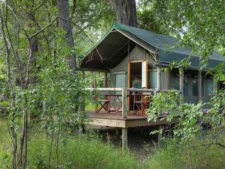 Camp Moremi